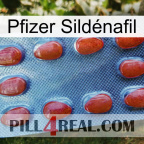 Pfizer Sildénafil 06